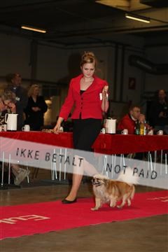 133496_ms_01_IMG_9184.JPG