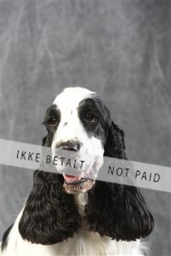 129608_le_ 01_0517.JPG