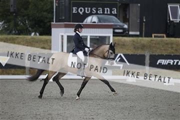 166078_rhj_01__J7R4310.JPG
