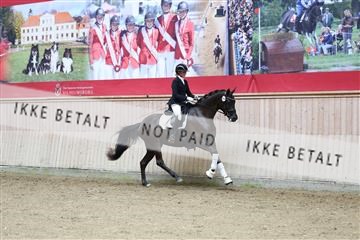 181887_mtp_04_R62_8984.JPG