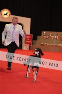 126827_tl_04_IMG_0153.JPG