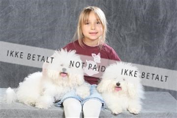 130054_le_ 01_0227.JPG