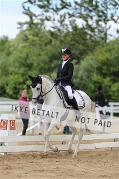 156196_nn_01_IMG_5954.JPG