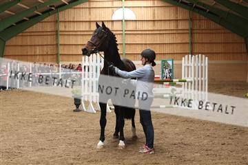 139265_kl_1_8M1Q6012.JPG