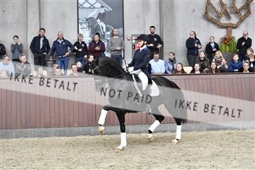 162310_abo_01__D052721.JPG