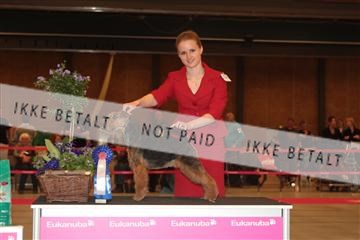 124188 _tl_02_IMG_9523.JPG