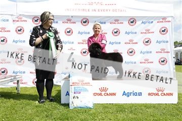181564_kar_01__62_6699.JPG