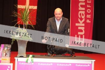 126827_tl_04_IMG_9977.JPG