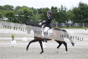 166078_rhj_01__J7R4660.JPG