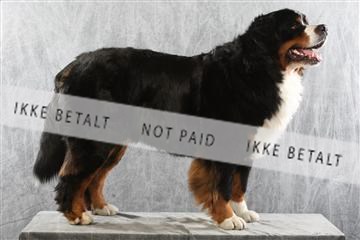 129608_le_ 02_0194.JPG