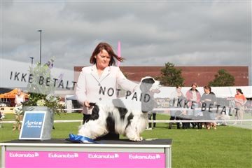 130370_tl_01_IMG_7447.JPG