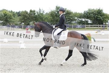 166078_rhj_01__J7R2979.JPG