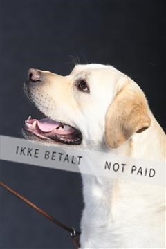 132082_le_ 01_IMG_1037.JPG