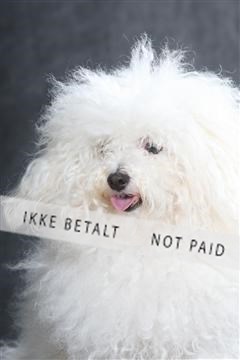 130054_le_ 01_0164.JPG