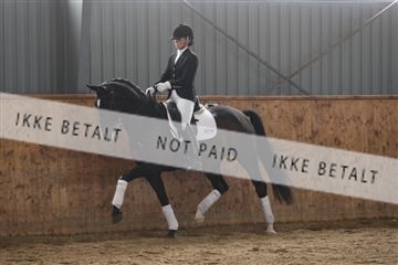 139206_kl_1_8M1Q5302.JPG