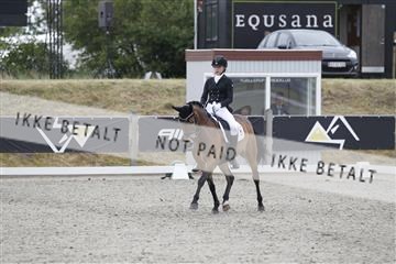 166078_rhj_01__J7R3378.JPG