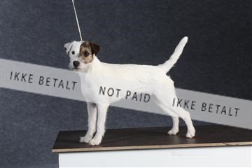 132082_le_ 01_IMG_1372.JPG