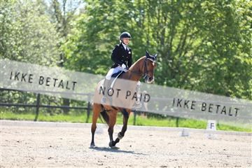 168732_mtp_01_3M5A7118.JPG