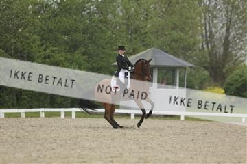 139835_sg_02_IMG_8735.JPG