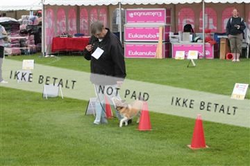 130370_tl_01_IMG_7093.JPG