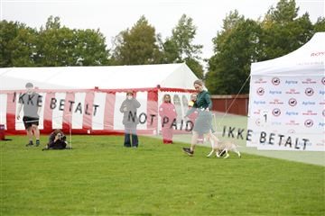 182009_kar_01__62_6237.JPG