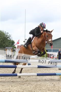 5350_sme _02_IMG_4477.JPG