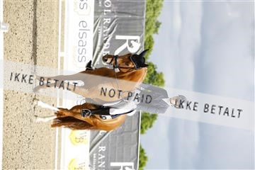181449_jss_01__6II3057.JPG