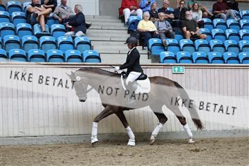 181887_mtp_02_R62_7846.JPG