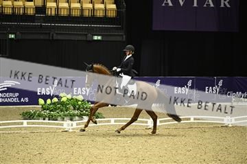 182194_kbb_01_Z095981.JPG