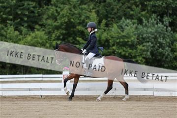 156196_nn_01_IMG_5815.JPG