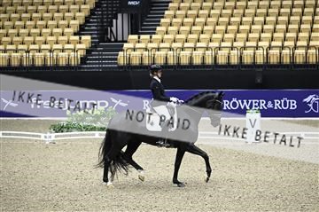 182194_kbb_01_Z095266.JPG