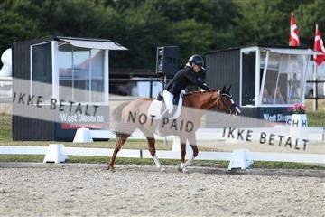 181894_mtp_05_R62_5229.JPG