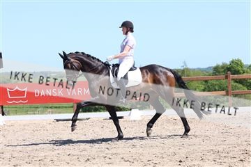 181449_bc_01R62_5743.JPG