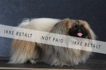 132082_le_ 01_IMG_1565.JPG