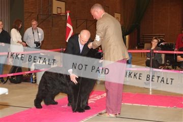 124188 _tl_02_IMG_9706.JPG