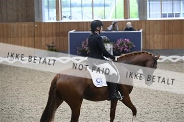 182176_kbb_01_Z093239.JPG