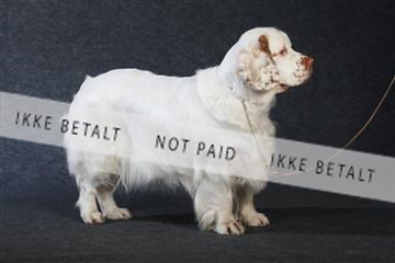 132082_le_ 01_IMG_1012.JPG