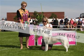 130370_se_02_IMG_6287.JPG