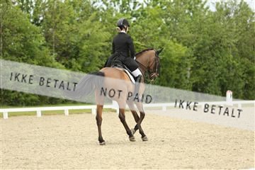 139835_sg_01_IMG_7330.JPG