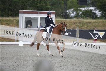 166078_rhj_01__J7R4430.JPG