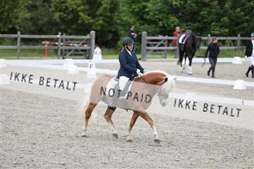 172030_mtp_01_3M5A2044.JPG