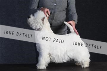 132082_le_ 01_IMG_0408.JPG