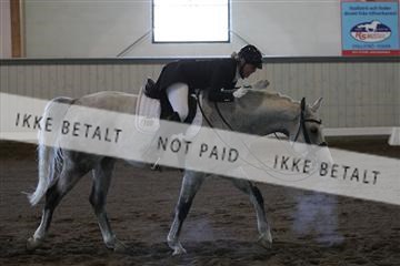 139267_kl_1_8M1Q6541.JPG