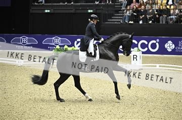 182194_kbb_02_Z099023.JPG