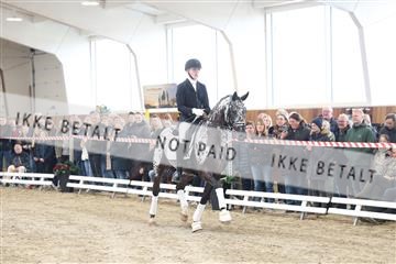 174363_kbb_01_R6II7881.JPG