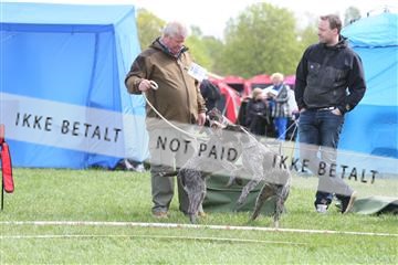 134871_ms_04_IMG_9852.JPG