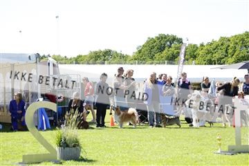 181564_ch_01__62_9034.JPG