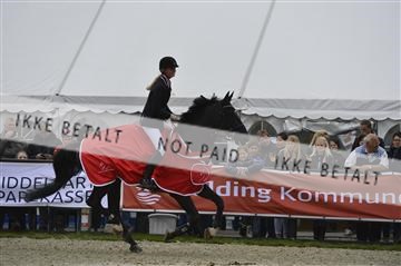 139644_abo_07__AB15740.JPG