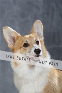 130054_le_ 01_0310.JPG