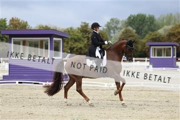 181923_mtp_03_R62_7340.JPG